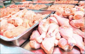 FROZEN FOOD BUSINESS PLAN IN NIGERIA