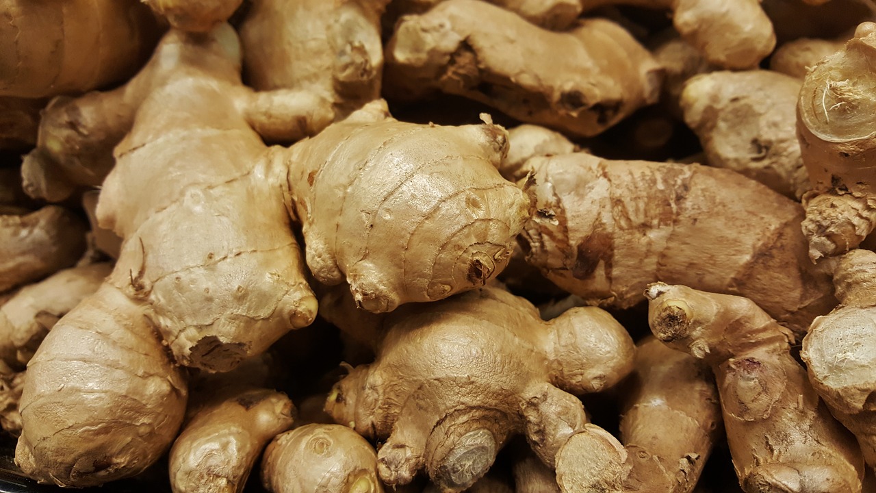 GINGER FARMING & GINGER PROCESSING BUSINESS PLAN