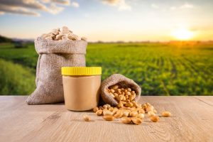 GROUNDNUT FARMING AND PROCESSING BUSINESS PLAN IN NIGERIA