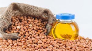 GROUNDNUT OIL PRODUCTION BUSINESS PLAN IN NIGERIA