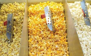 POPCORN BUSINESS PLAN IN NIGERIA